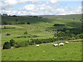 Upper Weardale east of Westgate