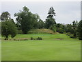 Letham Grange, Old Course, 2nd Hole, Doo 