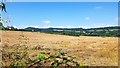 Recently harvested crops near Rockfield