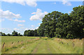 SE5644 : Grass Track beside Brocket Wood by Chris Heaton