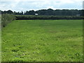 SK1421 : Hedged field, Highfields Farm, Yoxall by Christine Johnstone