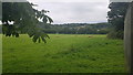 Sheep grazing in a field by the Lucozade Ribena Suntory factory