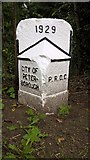TF1605 : Newly repainted former council boundary stone, Werrington by Paul Bryan