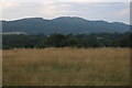 The Malvern Hills from Castlemorton Common