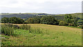 SN7058 : Pasture and woodland east of Tregaron in Ceredigion by Roger  Kidd