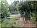 Llwybr yn cyrraedd yr heol / Path approaching the road