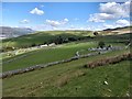 Looking across to Cefnfeusydd farm