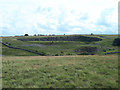 Quarry above Raven