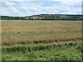 SP0636 : Public footpath at the edge of an arable field by Christine Johnstone