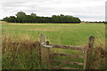 Footpath towards Twyford