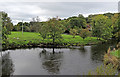 Afon Teifi at Pont Llanfair in Ceredigion