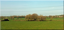 ST0413 : Farmland near Tiverton Parkway by Derek Harper