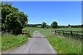 Greystoke: Road outside Red Barn