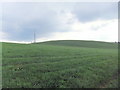 Grassy dome of Nutter Cote Hill