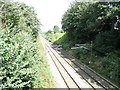 TG2306 : Railway off Mansfield Lane by Geographer