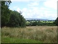 NY6814 : Rushy field at Long Moor by Oliver Dixon