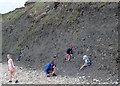 Amateur fossil hunters on Charmouth beach