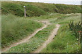 Track in the dunes