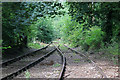 Tanat Valley Light Railway - overgrown