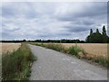 Track on the old Wisley aerodrome