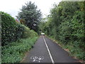 Dual use path beside Donnington Wood Way