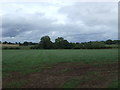 Grassland near Lilleshall Grange Farm