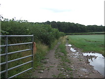 SJ7413 : Farm track off Lilyhurst Road by JThomas
