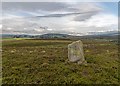 Achnagarron Standing Stones