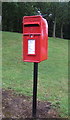 Elizabeth II postbox on Salisbury Avenue, Priorslee