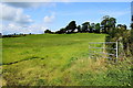 An open field, Ardstraw