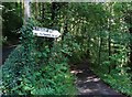 The track to Ravensdale Cottages