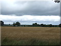 Stubble field, Lapley