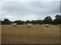 Bales in stubble field near Bickford