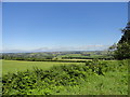 NZ1346 : Great views from Humberhill Lane by Robert Graham