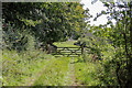 Public Footpath close to the Laver Dam at Birkby Nab