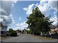 Looking west-northwest in Halliford Road