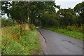 Stoke Lane, towards Mappowder