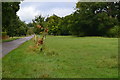 Wide verge beside Holwell Drove