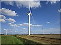 TF1838 : Wind turbines, Bicker Fen by Jonathan Thacker