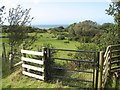 Footpath with gate