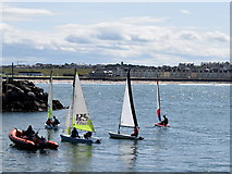 C8540 : Sailing boats in Portrush Harbour by Kenneth  Allen