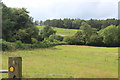 Fields either side of Rhyd-y-Gwern Lane