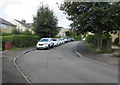 Trees, cars and houses, Lewis Crescent, Gilfach