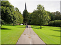 V9590 : The Circular Walk, Killarney National Park by David Dixon