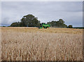 NH9558 : Combine harvester, by Cothill by Craig Wallace