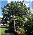 Old Cheadle & Gatley UDC signpost