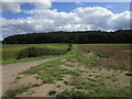 Farm track to Combs Wood