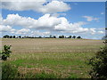 Stubble field near Preston Fields Farm