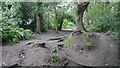 Path, Helsby Hill