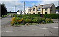 Flowery triangle in Gilfach